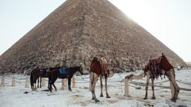 «السياحة»:-مصر-تستهدف-الوصول-إلى-25-مليون-سائح-في-عام-2028