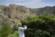 المكان:-الجبل-الأخضر،-من-أبرز-أجزاء-سلسلة-جبال-الحجر-الغربي،-يبلغ-ارتفاعه-لأكثر-من-3000-متر،-ليحتضن-أروع-الإطلالات-على-المناظر-الطبيعية-الخلابة-في-سلطنة-عُمان.-كما-تشتهر-المنطقة-بشكل-عام-بأوديتها-العميقة،-قراها-التراثية،